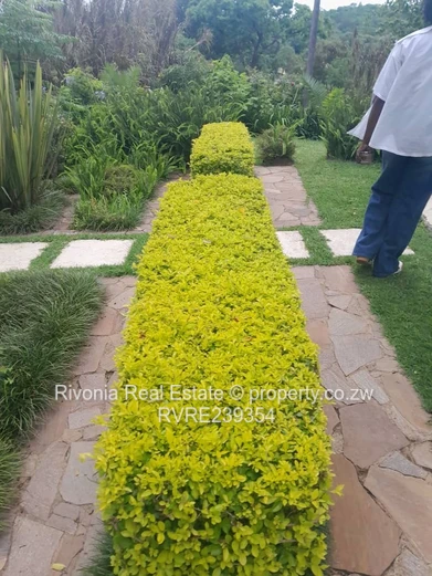 GLEN LORNE 7000sqm 500k