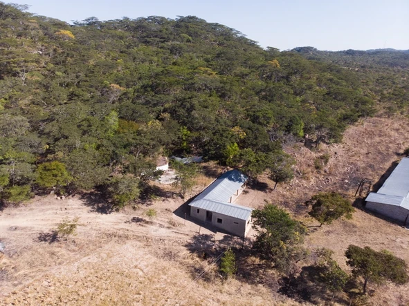 Farm & Agricultural Land