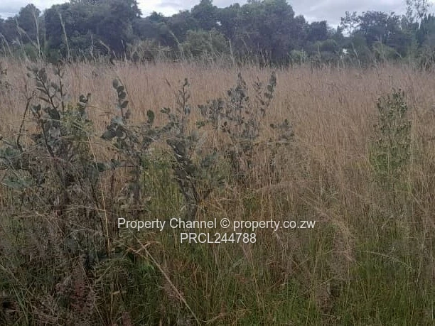 Prime Flat Agro Plot – Ideal for Farming, dwelling & Investment