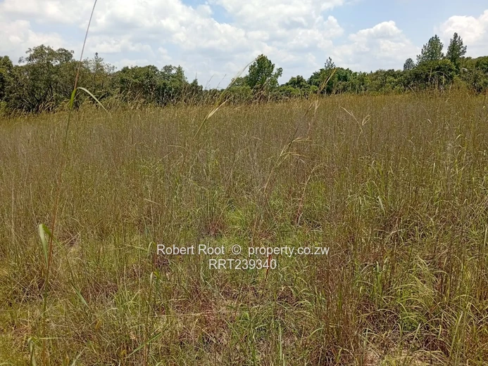 Agro-Residential Plot In Gardiner Area, Goromonzi!