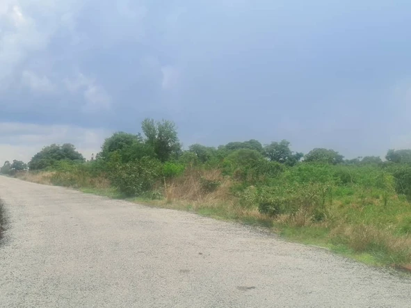 Farm & Agricultural Land