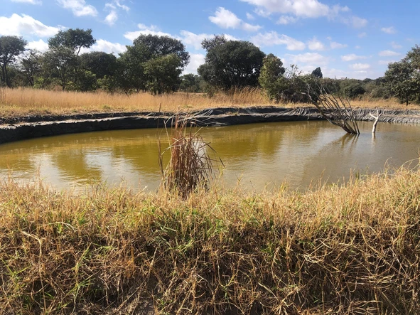 Farm & Agricultural Land