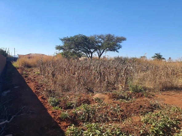 Stands & Residential Land