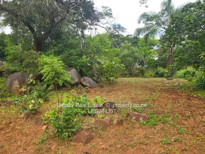 Greystone Park Stand For Sale With Borehole