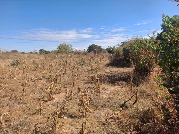 Stands & Residential Land