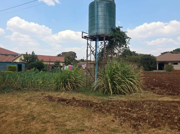 Stands & Residential Land