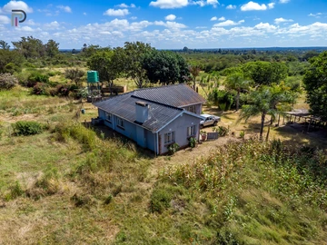 Farm & Agricultural Land