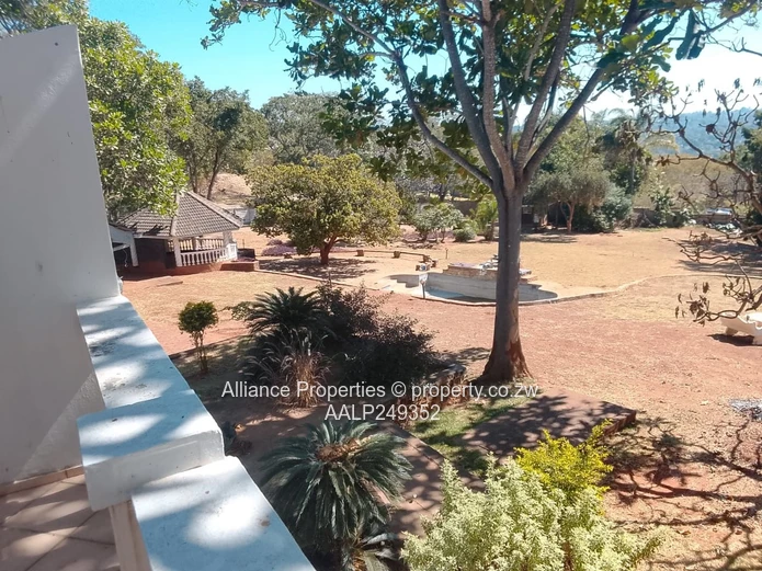  7-Bed Massive home