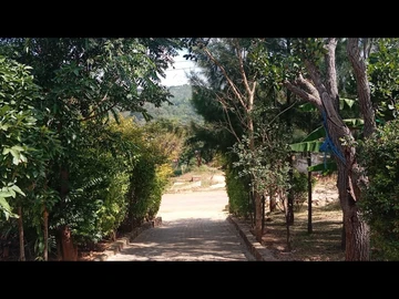 Land