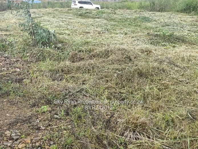 Pomona City Corner Stand For Sale