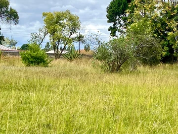 Stands & Residential Land