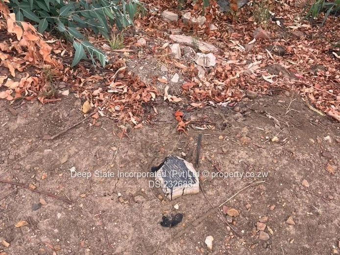 Cold comfort stand for sale (Gated community) 