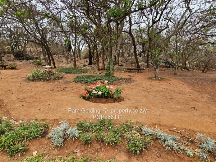 Charming 4 Bedroom Thatched Home