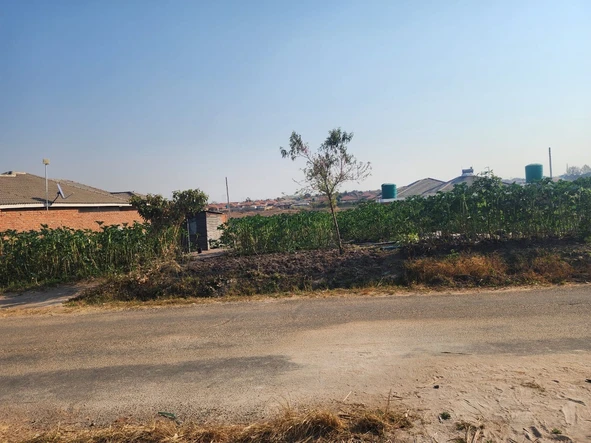 Stands & Residential Land