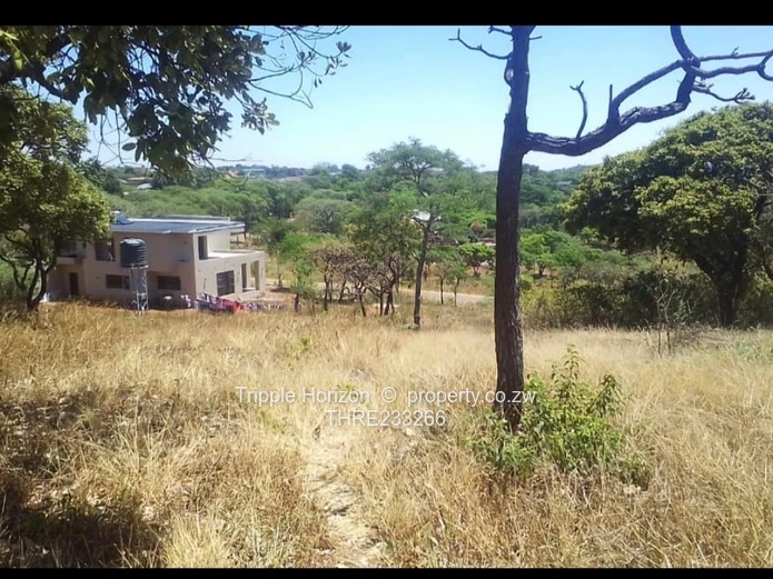 Shawasha hills stand 