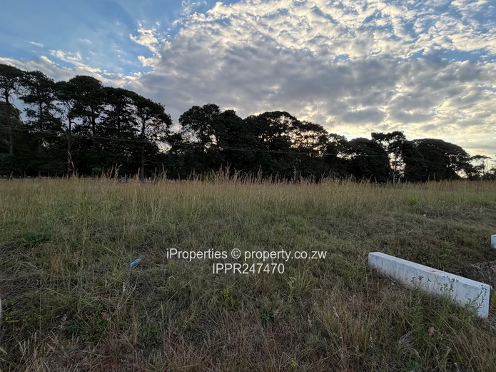 Prime 2000 sqm Vacant Stand for Sale in Pomona City – Perfect Location Next to Fairway!