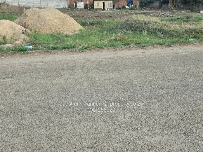 A Choice Of 2 Stands For Sale In Westgate