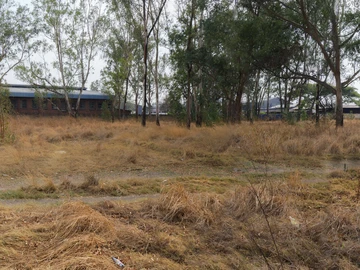 Commercial & Industrial Land