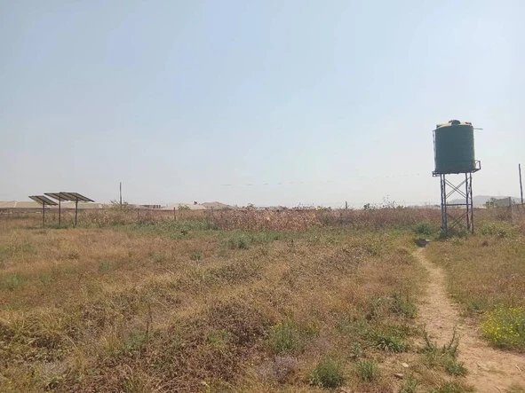 Stands & Residential Land