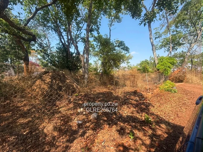 41ha Borrowdale Acreage with Mature Trees & Road Frontage