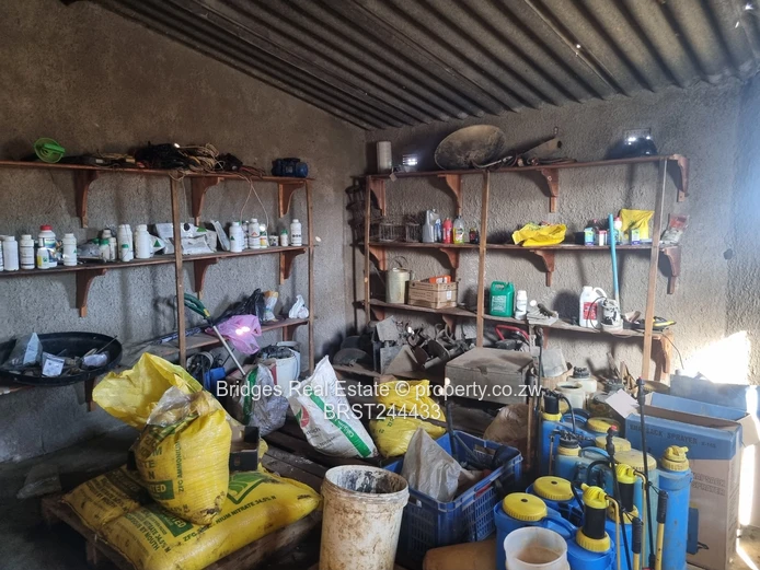 Fully Operational Peri Urban Agro Residential Plot (Sole Mandate)