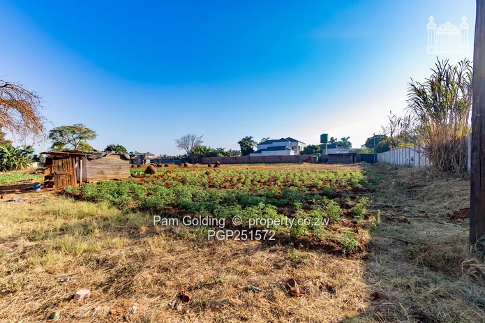 Choice of 3 stands in Westgate