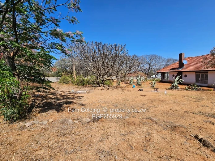 `Convenient Property With Potential