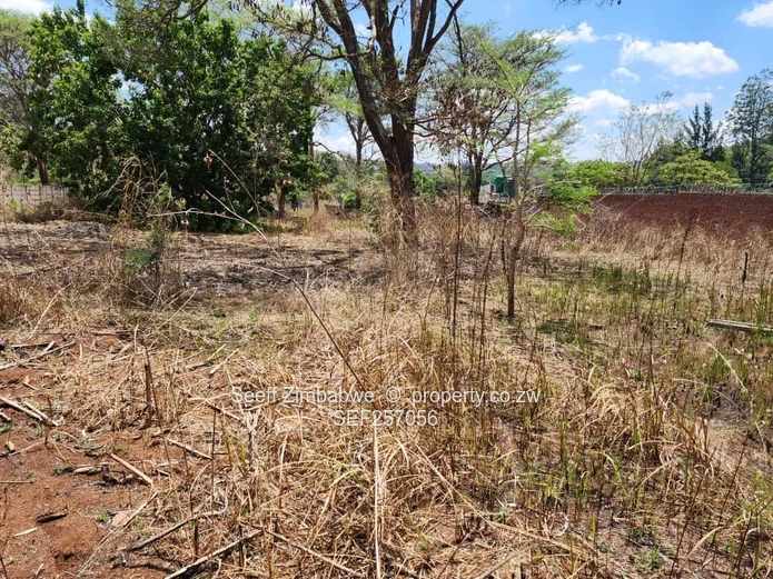 Rare Prime Find: Build Your Dream Home in Affluent Glen Lorne
