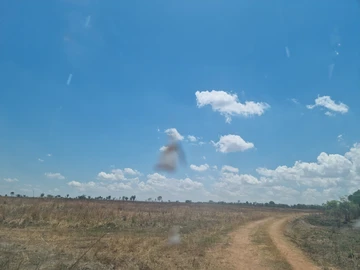Farm & Agricultural Land