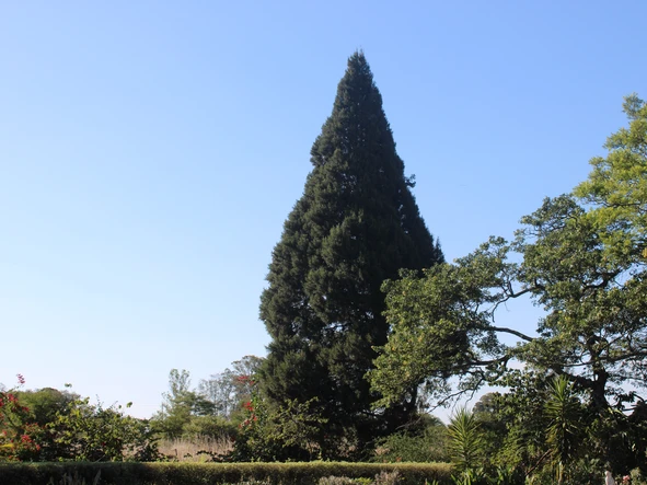 Commercial & Industrial Land