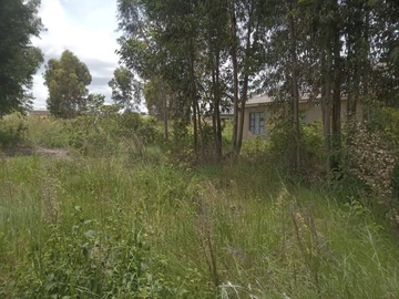 Arlington ESTATE stand for sale 