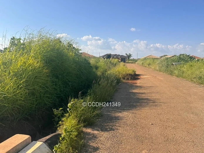 Glaudina Stands For Sale (Sole Mandate)