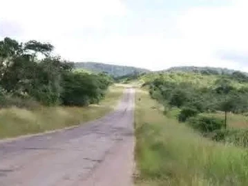 Farm & Agricultural Land