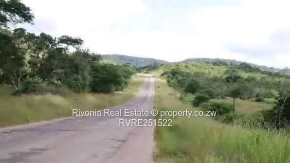 Great opportunity 