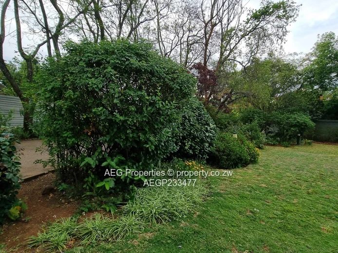 Prime Commercial Opportunity