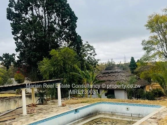 Burnside, Stand FOR SALE