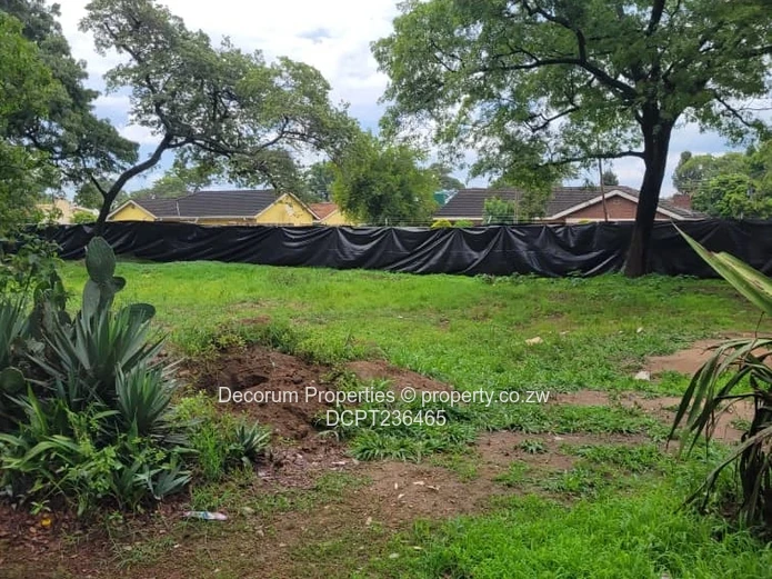 Beautiful stands Borrowdale Kinsley Estate