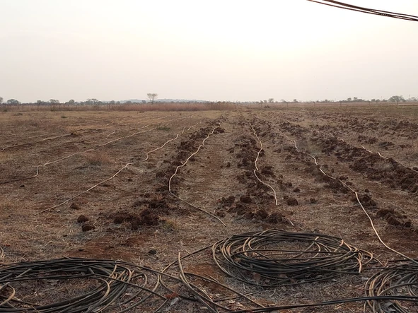 Farm & Agricultural Land