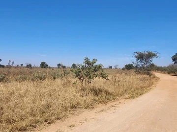Farm & Agricultural Land