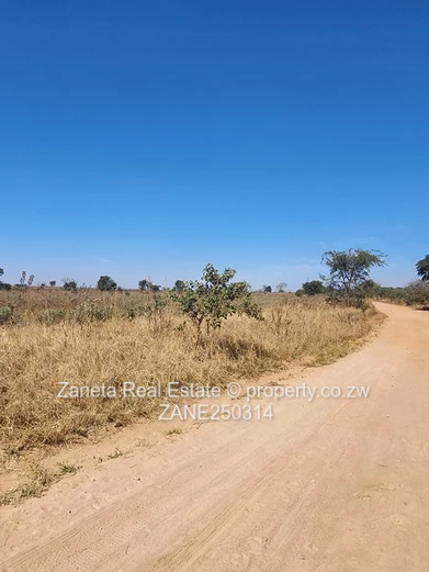 20ha Agro-plot , Hurungwe 