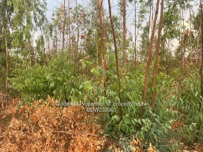 Tynwald pleasant valley Cluster stand for sale