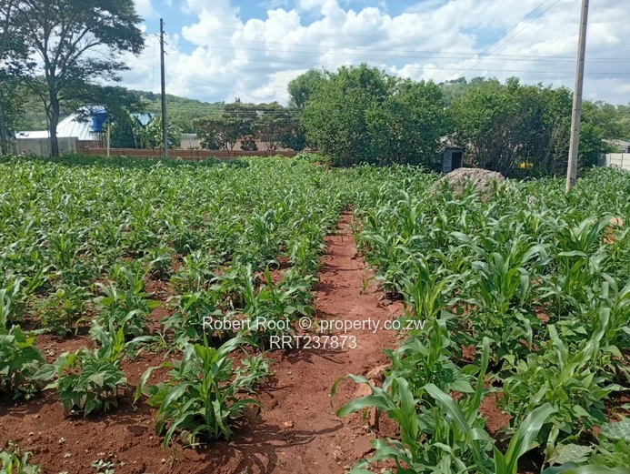 Residential Corner Stand For Sale In Glen Lorne