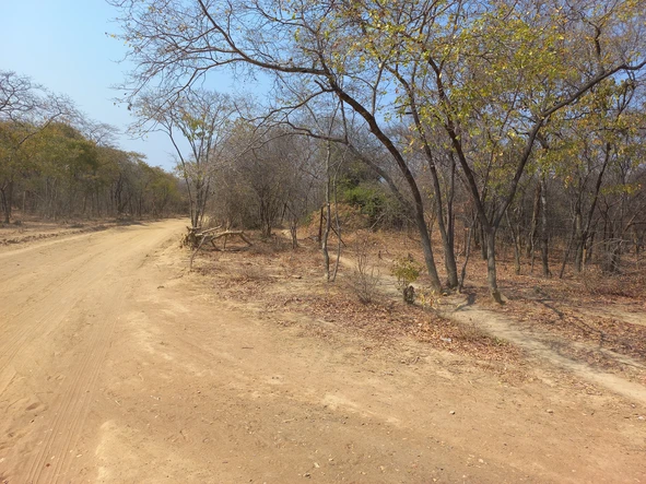 Farm & Agricultural Land