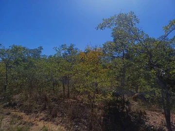 Farm & Agricultural Land