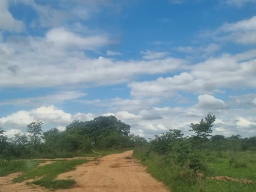 Farm & Agricultural Land