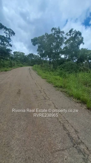 2000m² tree-lined stand with new paved road — Carrick Creagh