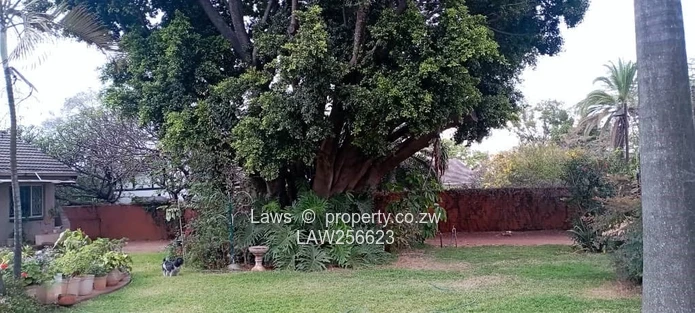 Prime Commercial Potential. Versatile 4 beds!