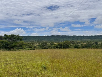 Farm & Agricultural Land