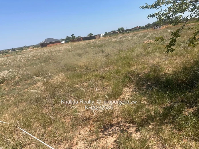 Norton stand for sale