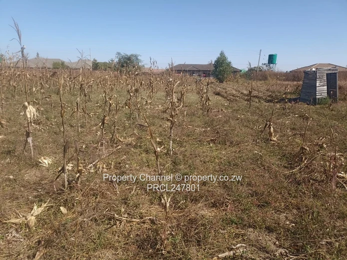 3000sqm Stand for Sale – Goodhope, Westgate Area